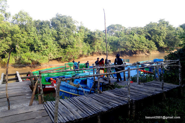 Bhitarkanika-Khorlo_2