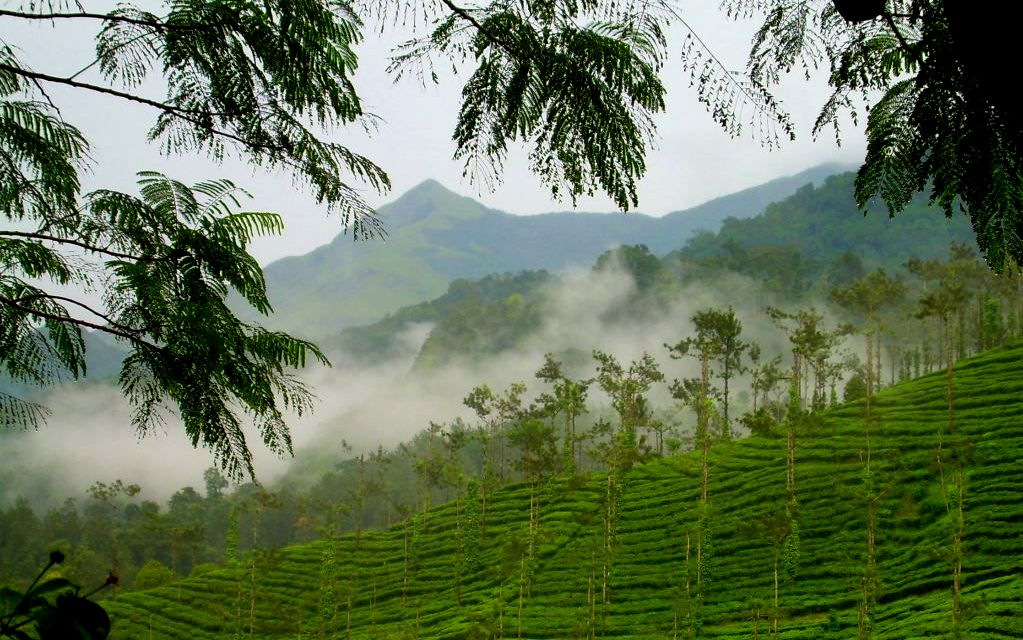 Coonoor